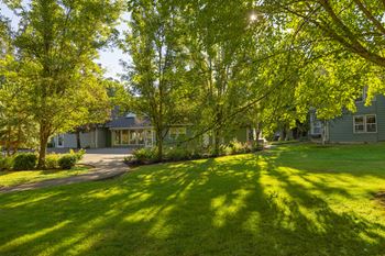 Green lawn